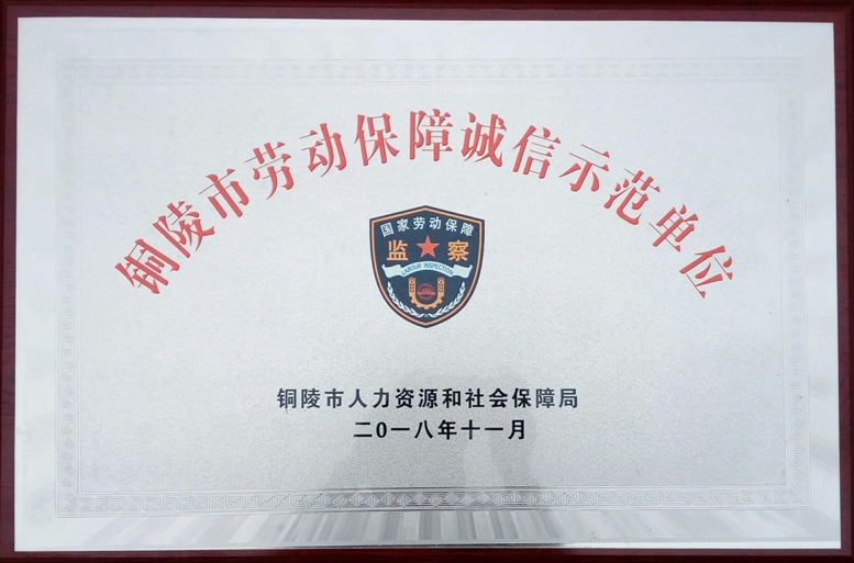 2018年“銅陵市勞動(dòng)保障誠(chéng)信示范單位”